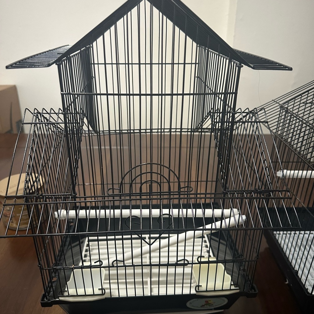 Black Bird Cage